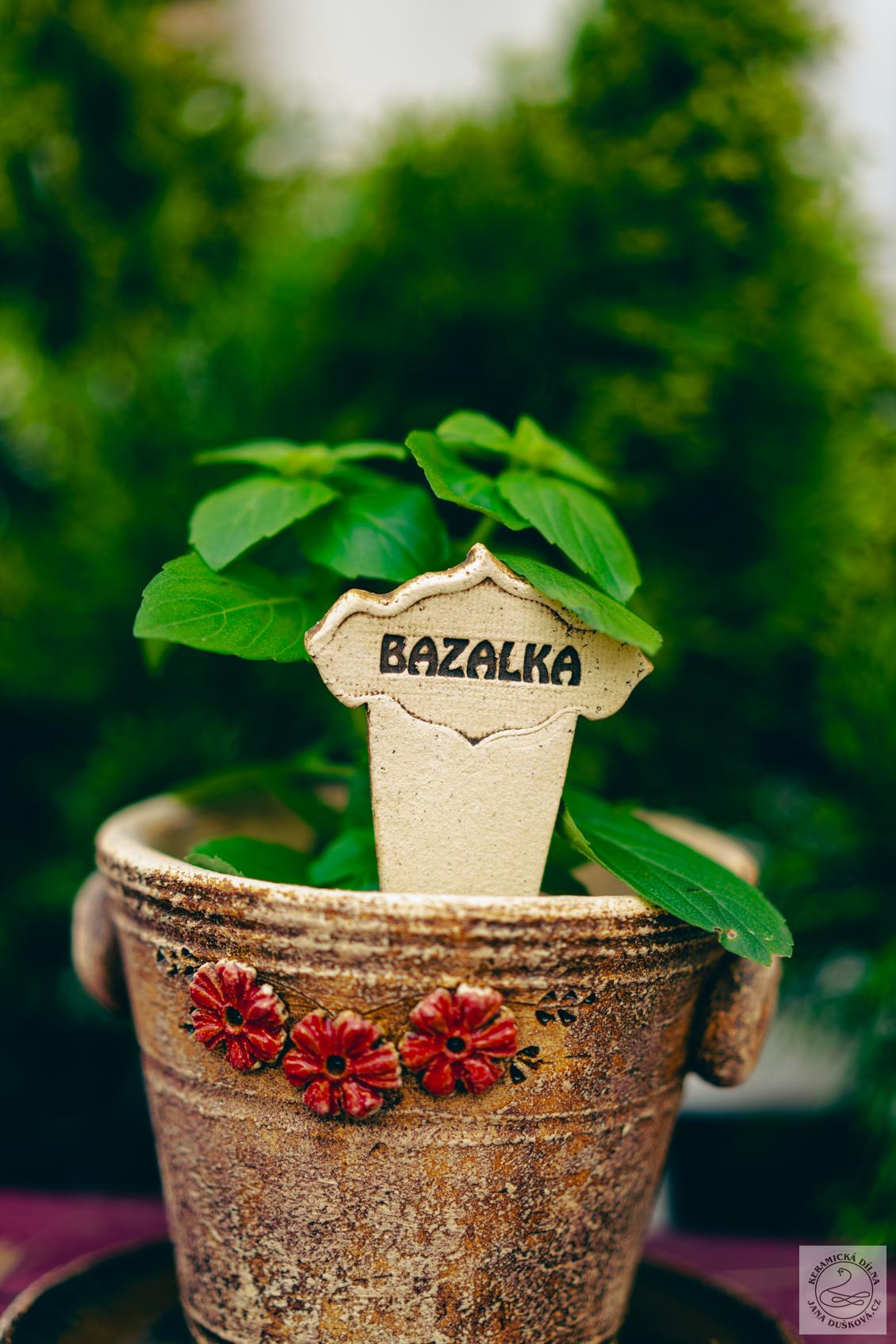 Bylinkový zápich - Bazalka